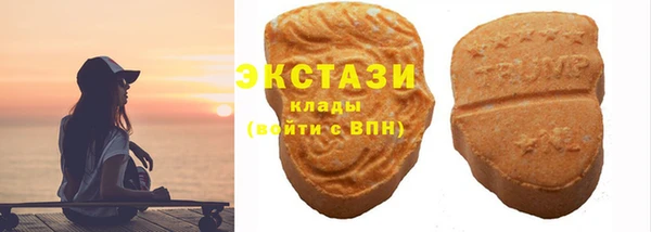 индика Богородицк