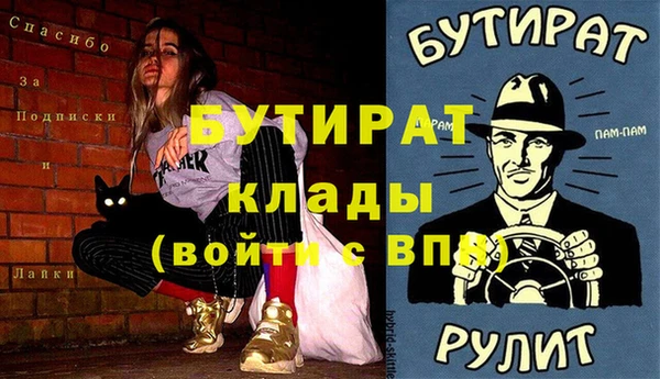 индика Богородицк